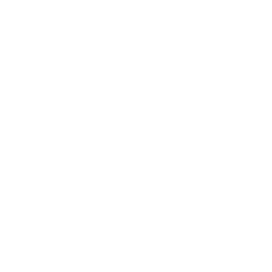 Sales-Careers sales icon