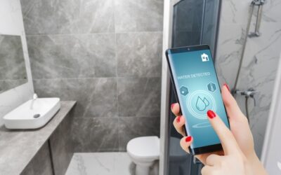 Smart Plumbing: A Comprehensive Guide to Thermostats, Leak Detection and Automated Valves